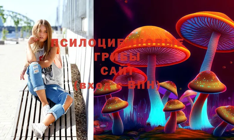 купить наркоту  Батайск  мега ССЫЛКА  Галлюциногенные грибы Magic Shrooms 